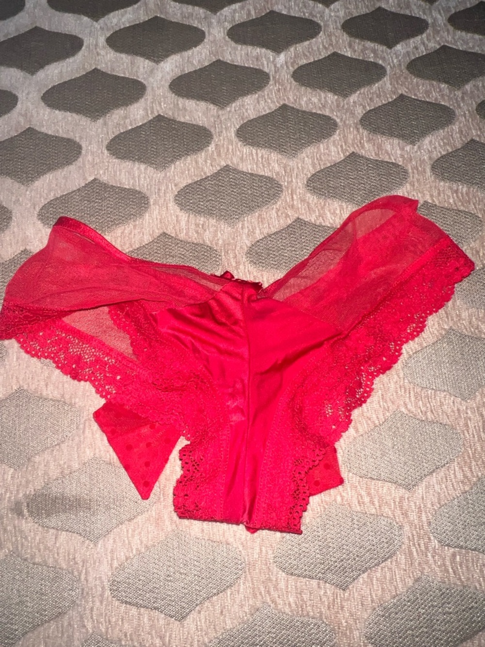 Women's Red Lace & Mesh Bikini Briefs